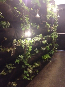 Etsy's Living Wall
